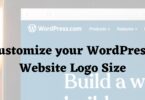 Step-by-step guide to change logo size in WordPress website